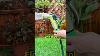 10 Pattern Garden Hose Nozzle Vs Dirt Mud And More Spraynozzle Carwashwatergun Gardening