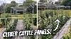 5 Creative Uses For Cattle Panels In The Garden