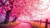 Calming Music For Nerves Healing Music For The Heart And Blood Vessels Relaxation Music For Soul