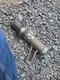 Fire Hose Nozzle