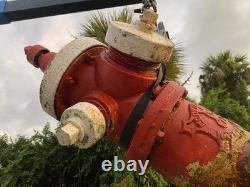 Fire Hydrant Eddy Valve Co. Two Piece 5 V. O. 72 Depth Short Upper Ornate Star