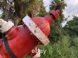 Fire Hydrant Eddy Valve Co. Two Piece 5 V. O. 72 Depth Short Upper Ornate Star